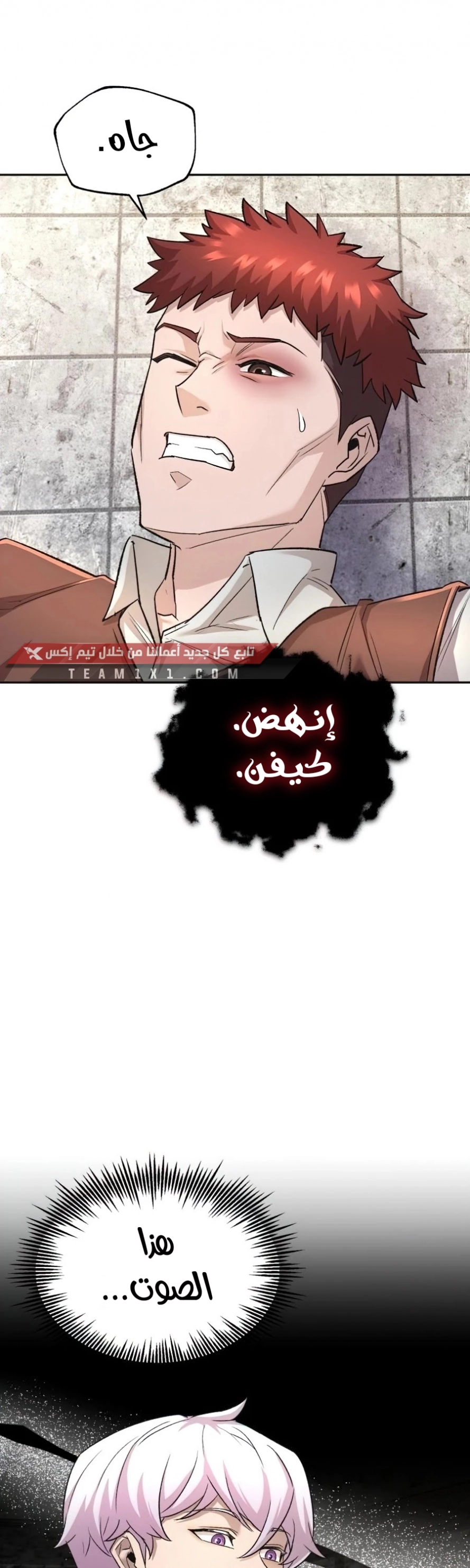 صفحة 13