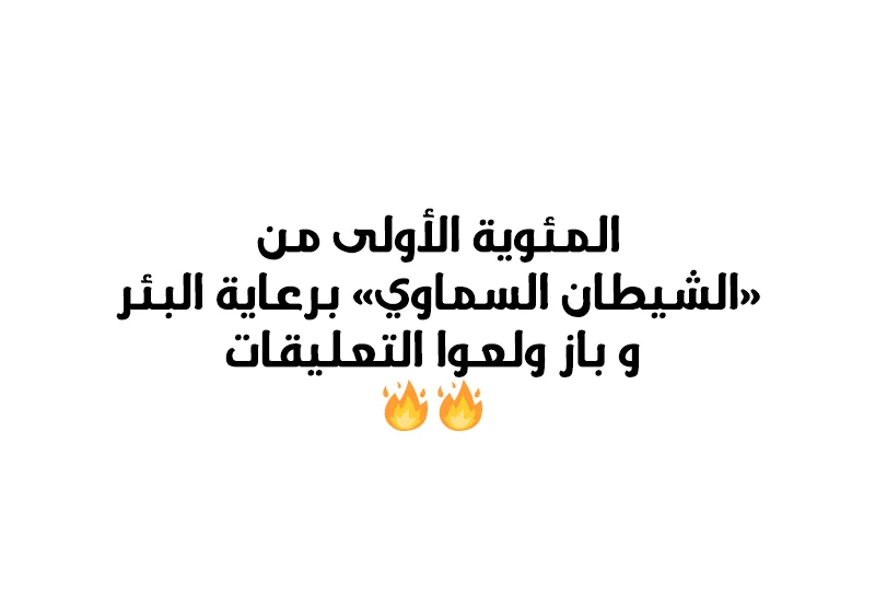 صفحة 13
