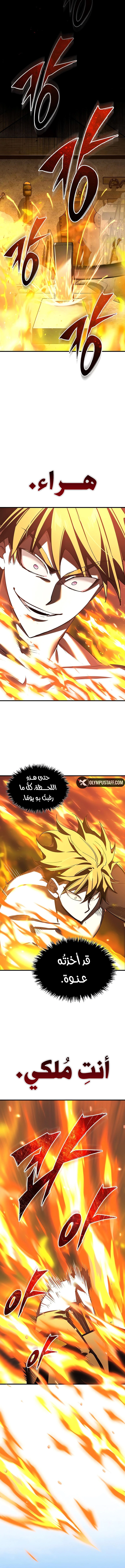 صفحة 14