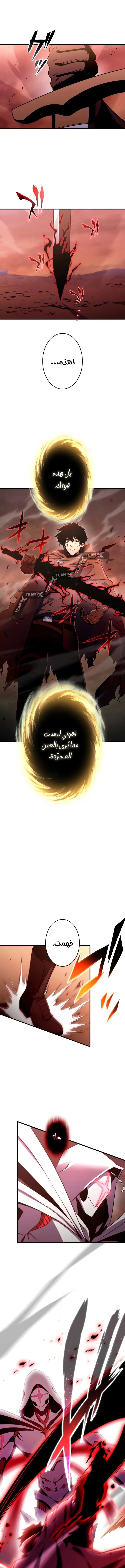 صفحة 17