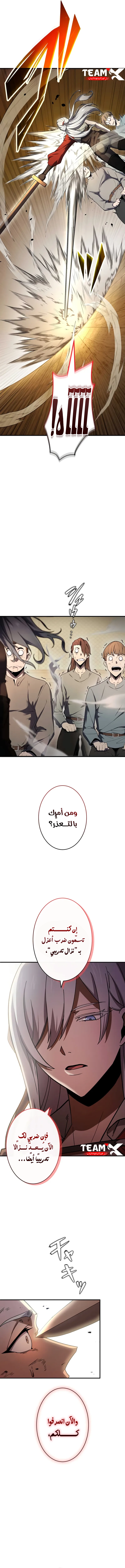 صفحة 13