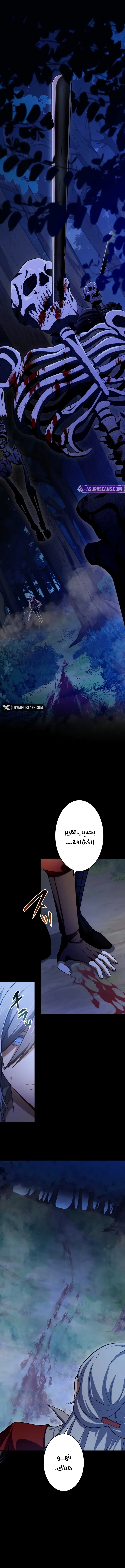 صفحة 17