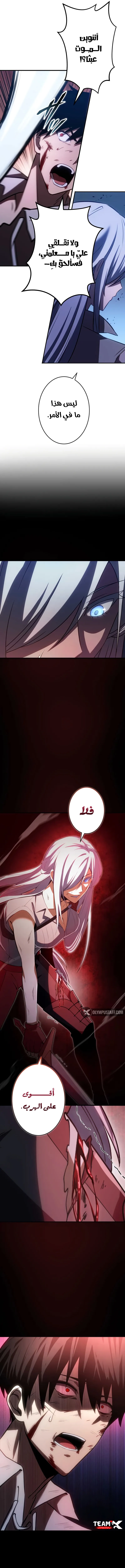 صفحة 13