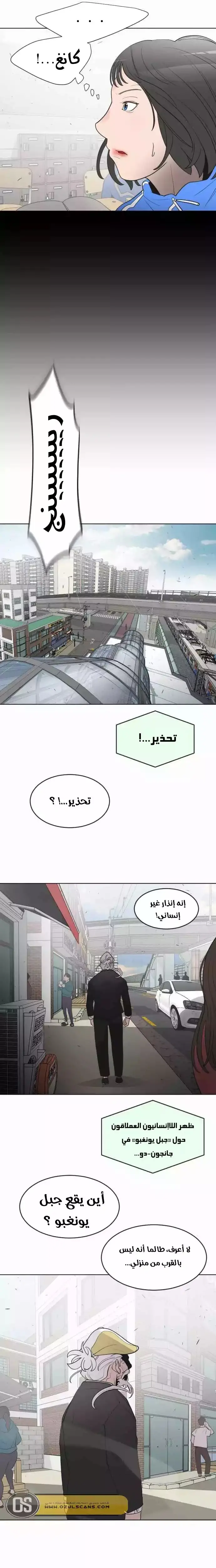 صفحة 11