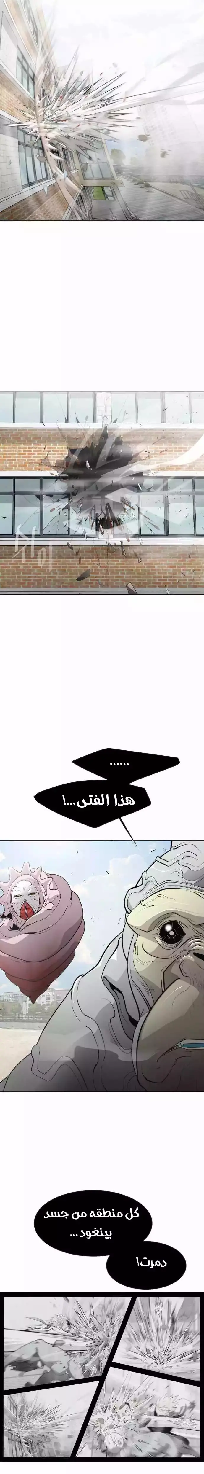 صفحة 8