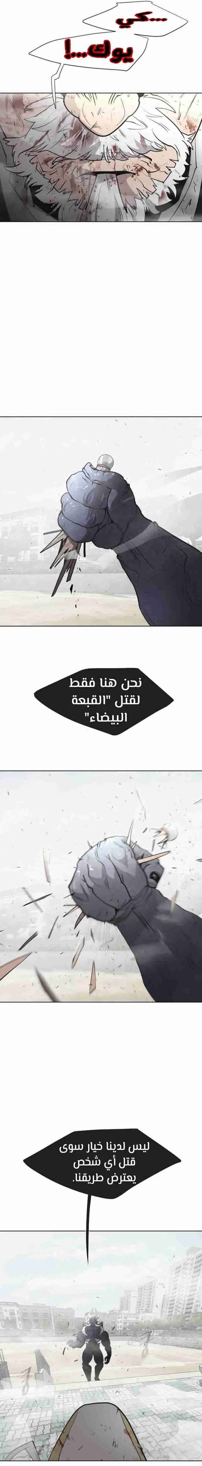 صفحة 17