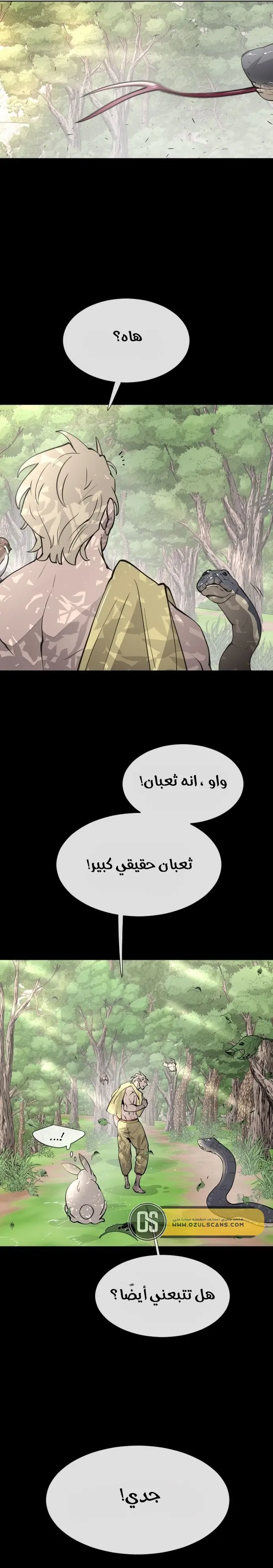 صفحة 17