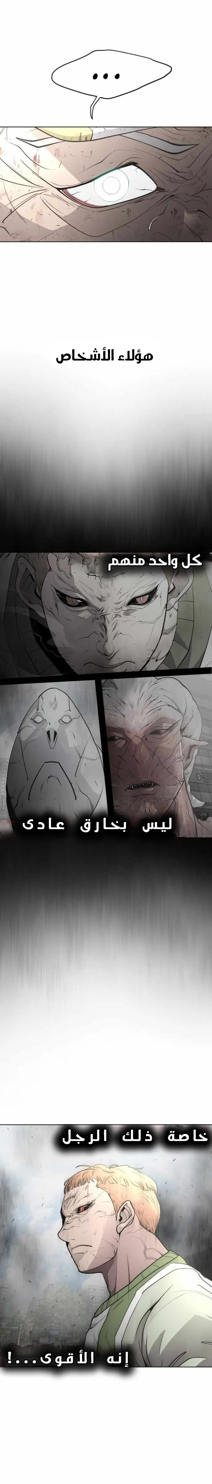 صفحة 14