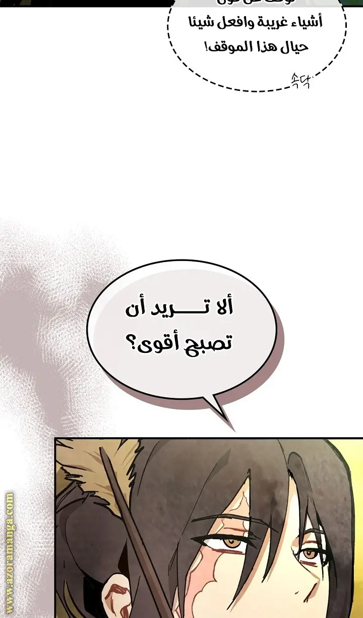 صفحة 29