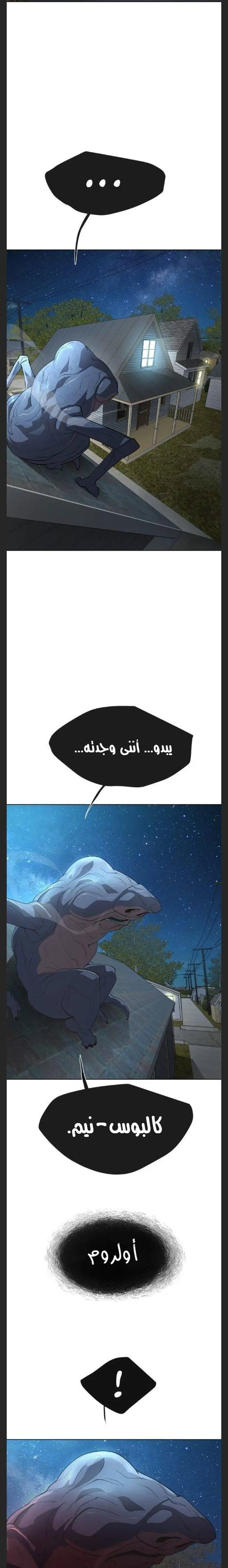 صفحة 20