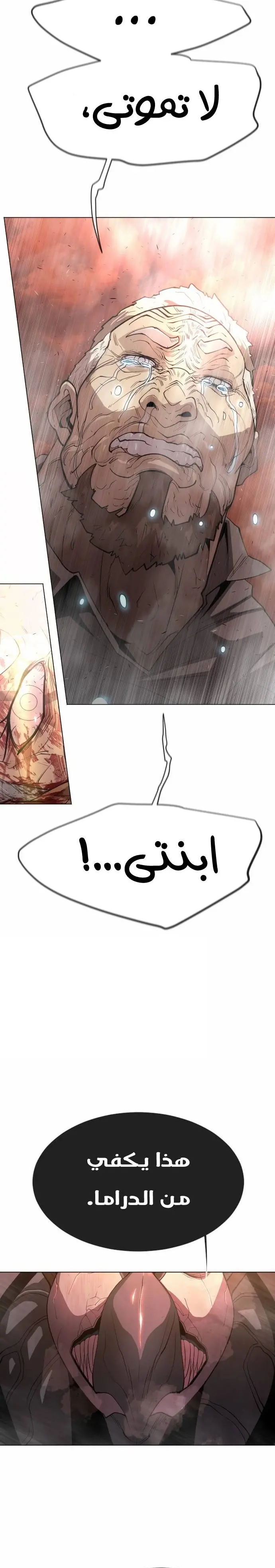 صفحة 24