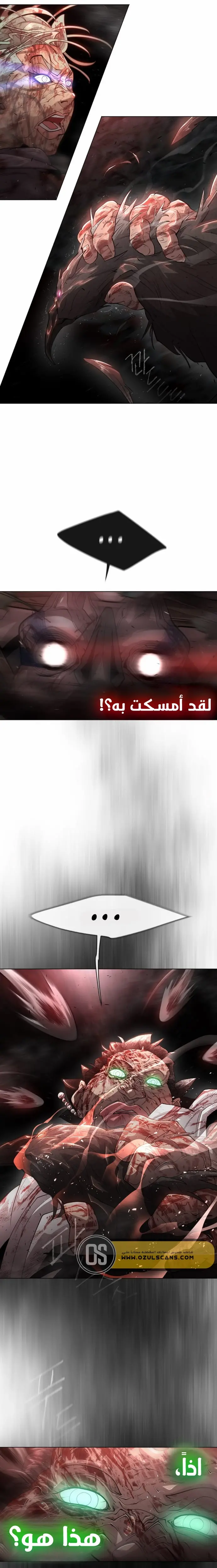 صفحة 13