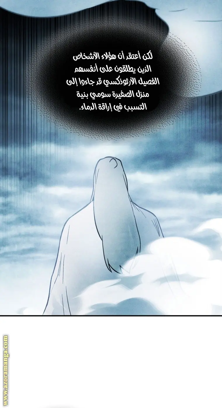 صفحة 17