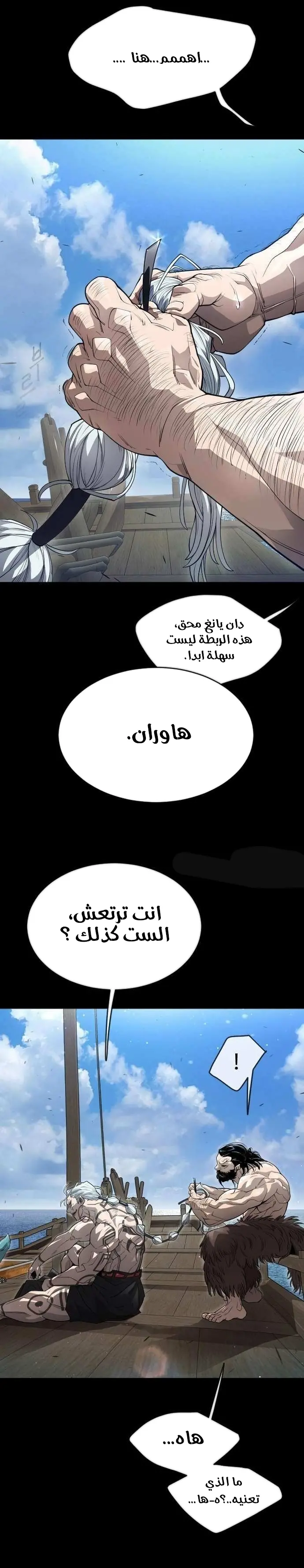 صفحة 17