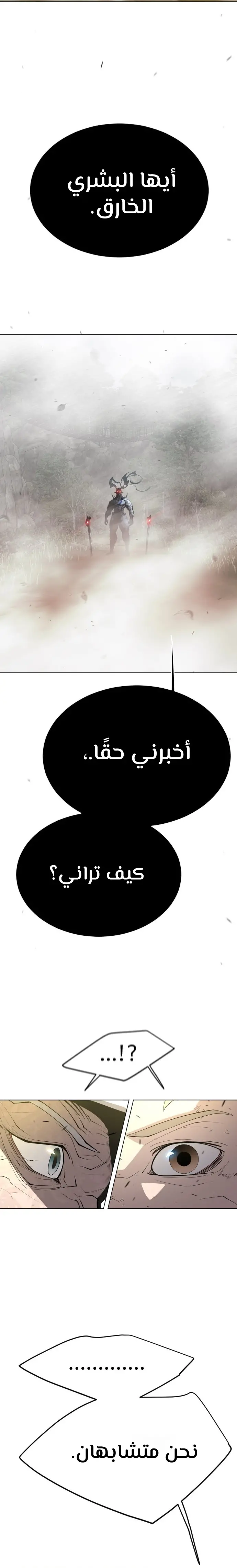 صفحة 41