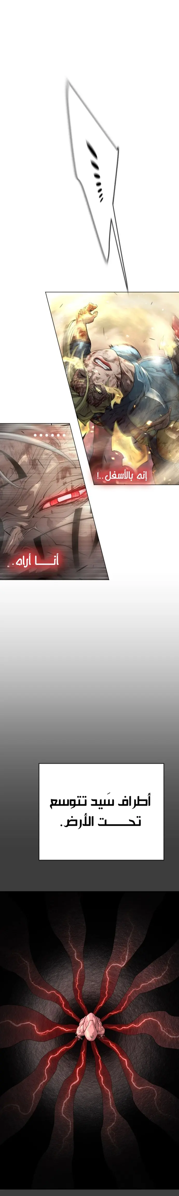 صفحة 14