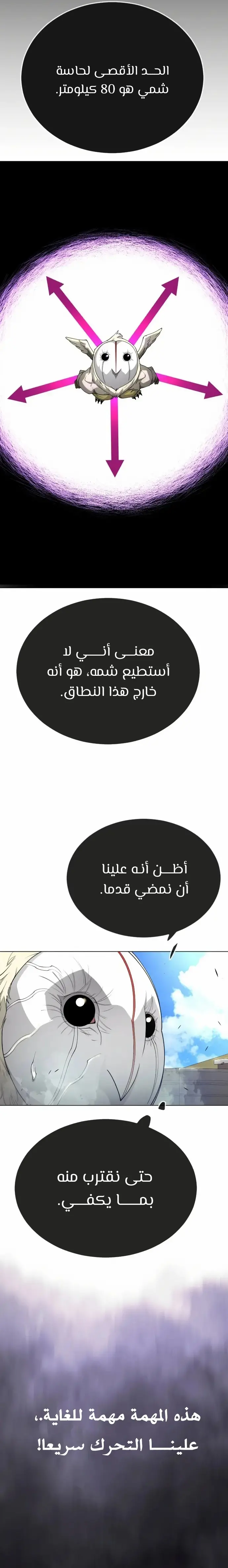 صفحة 11