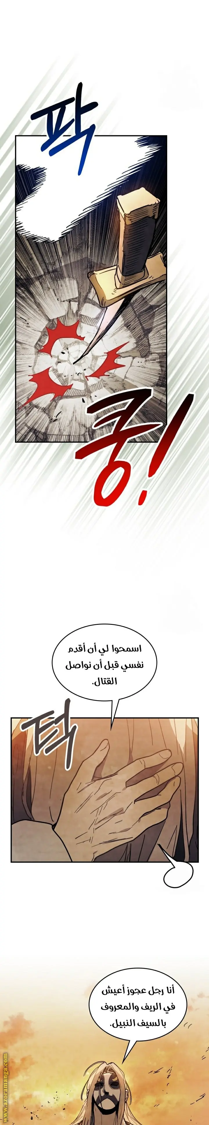 صفحة 13
