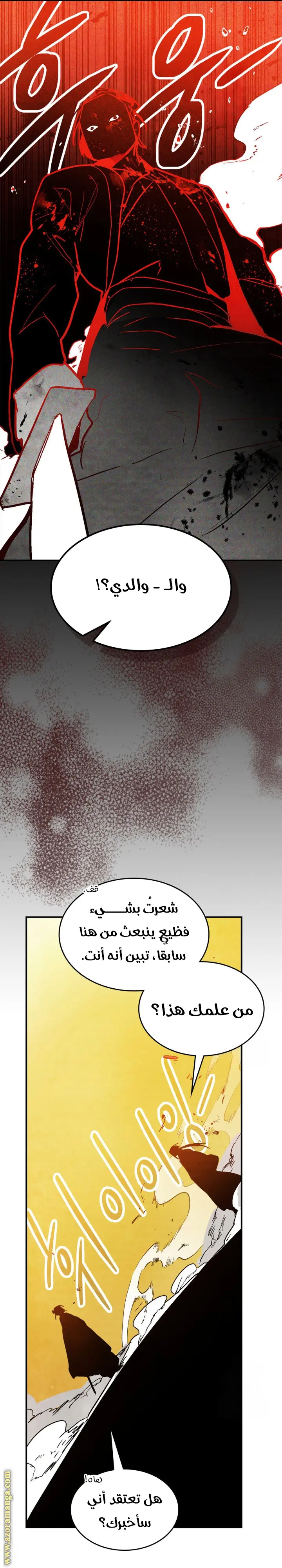صفحة 13