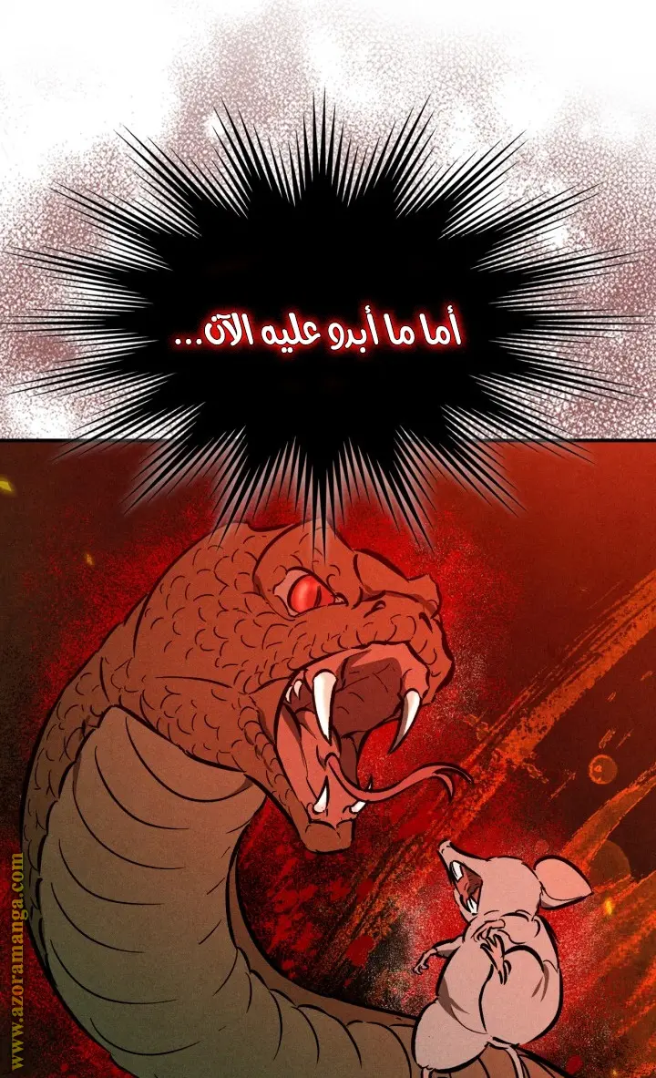 صفحة 29