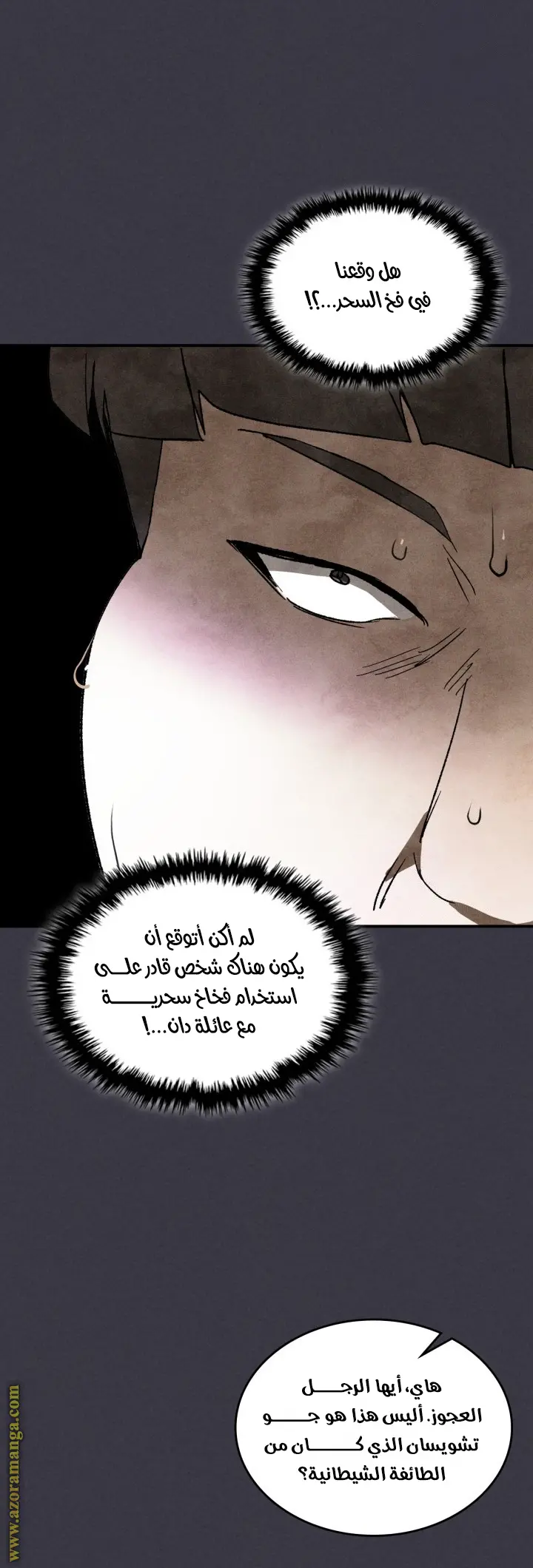 صفحة 17