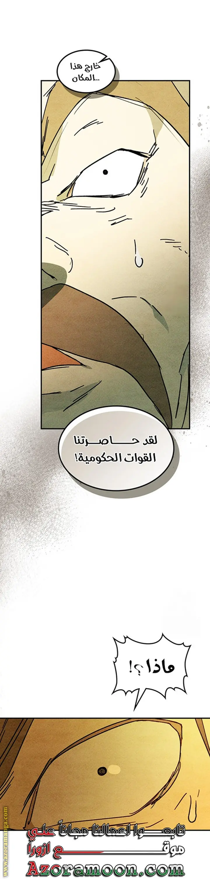 صفحة 17