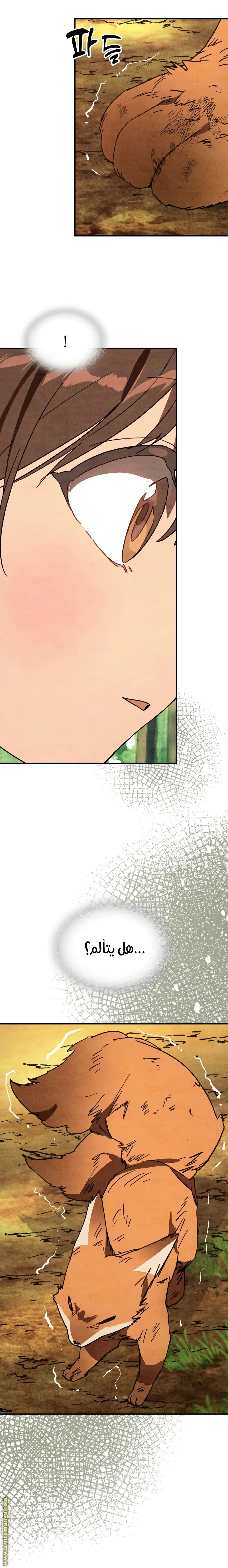 صفحة 2