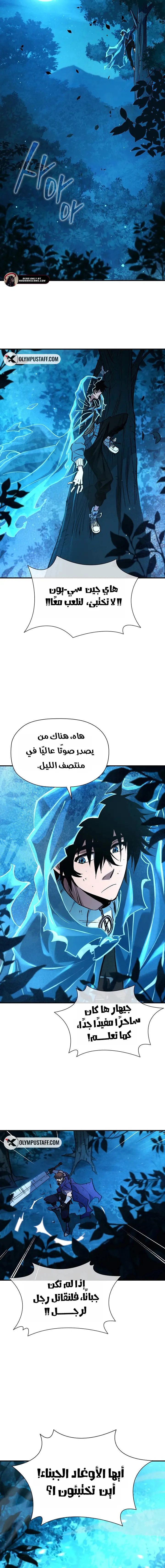 صفحة 13