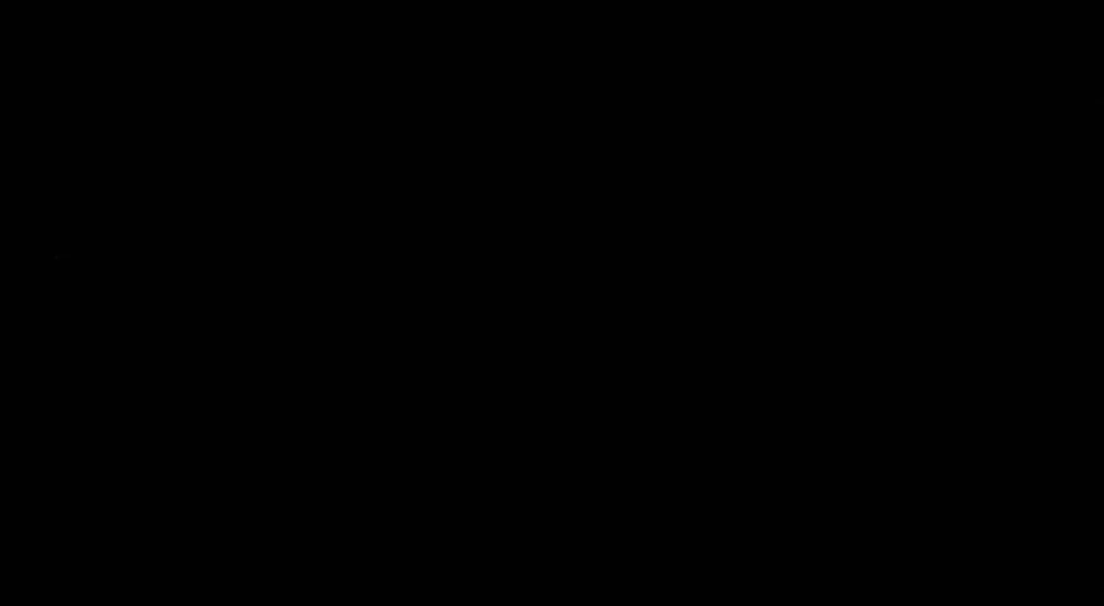 صفحة 16