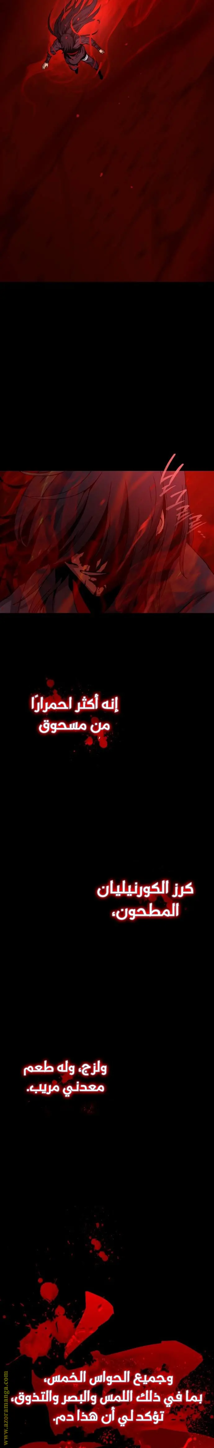 Myst, Might, Mayhem الفصل 12 — صفحة 25