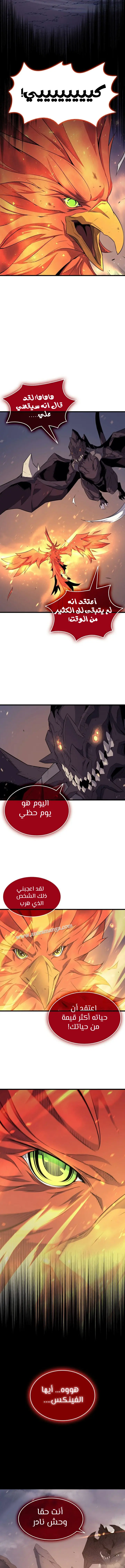 صفحة 3