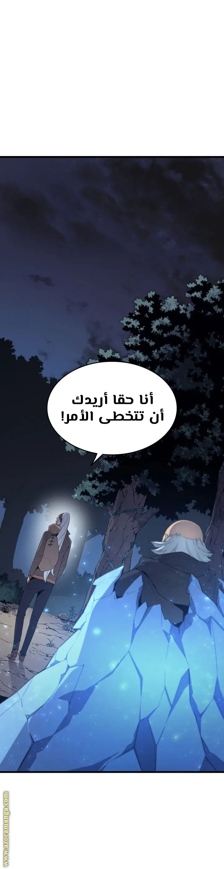 صفحة 17