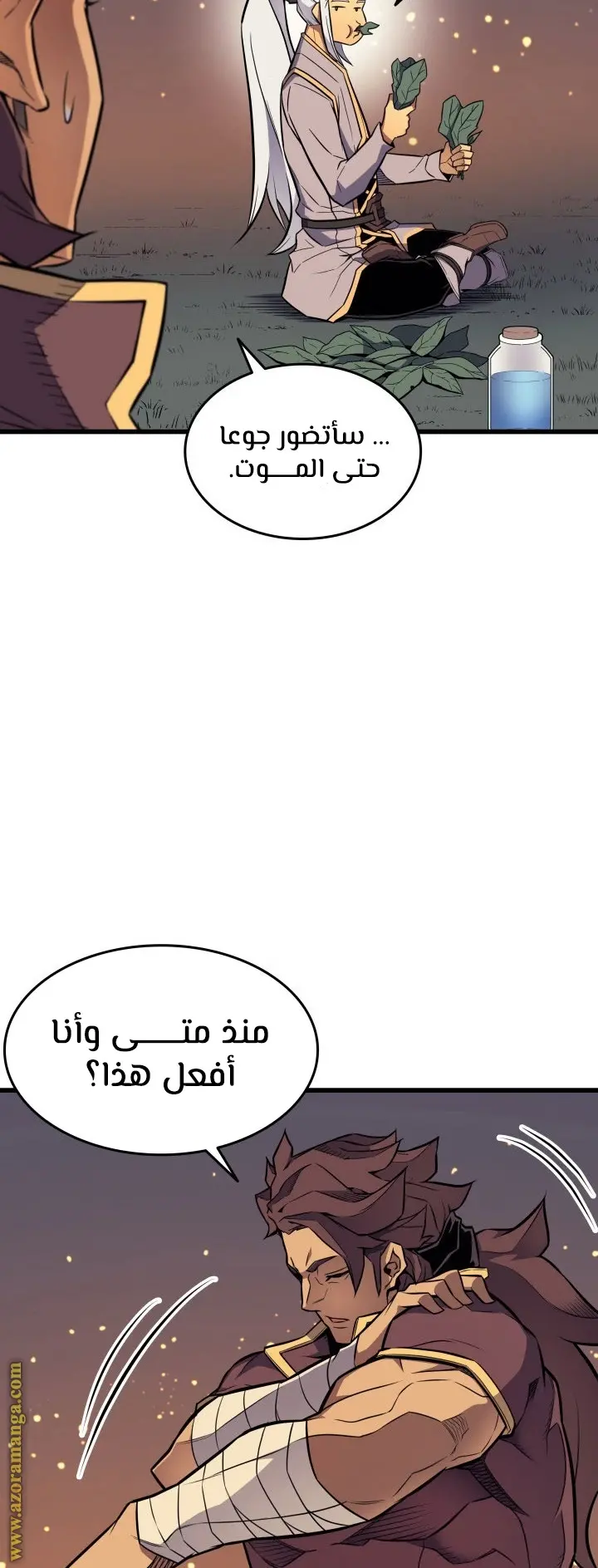 صفحة 17