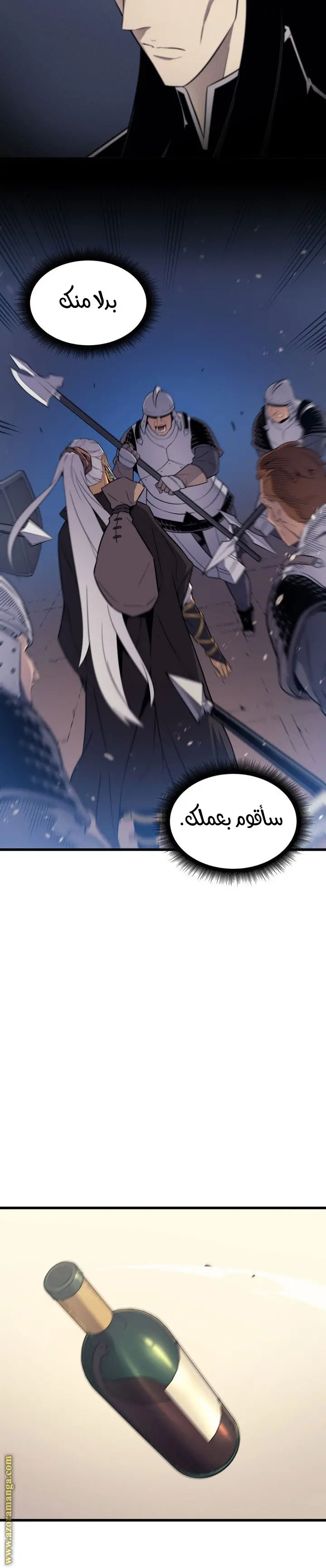 صفحة 17