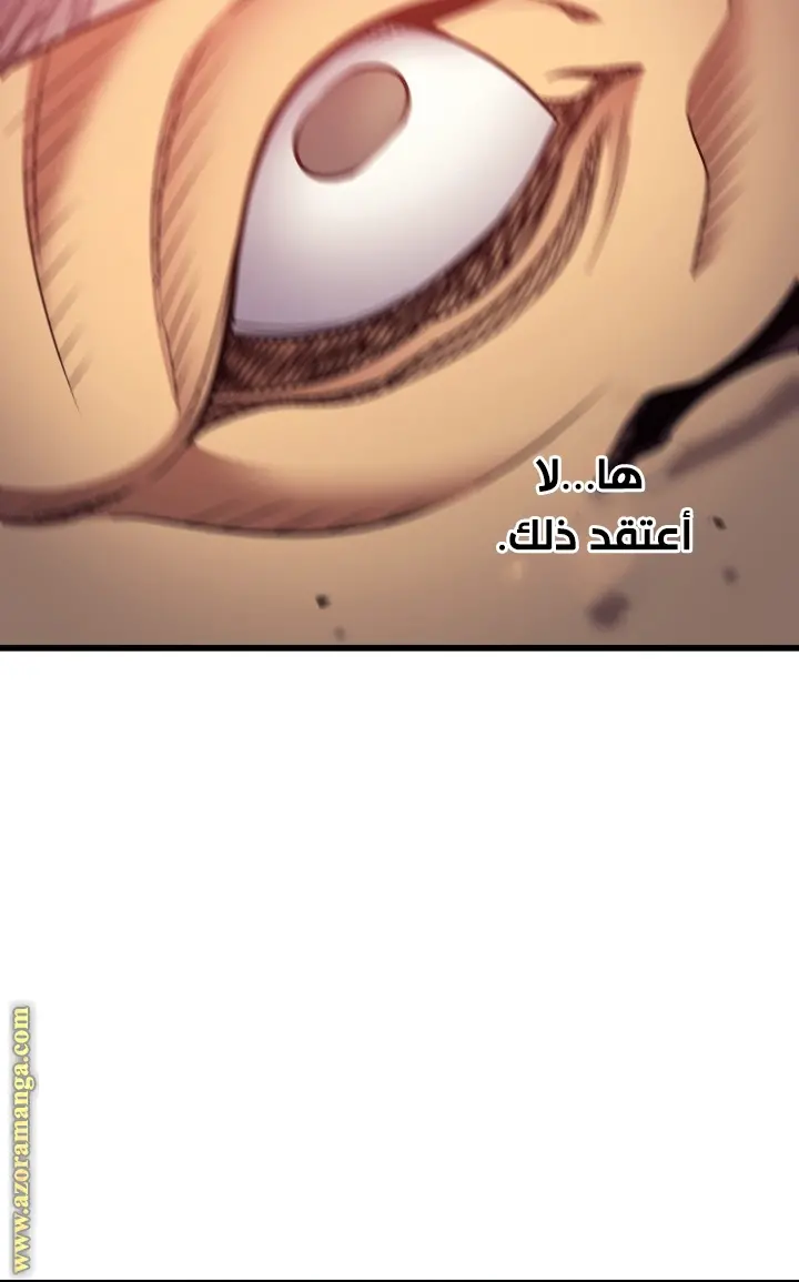 صفحة 17