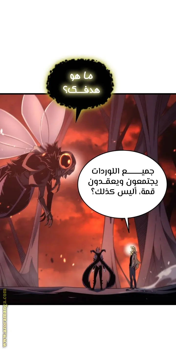 صفحة 29