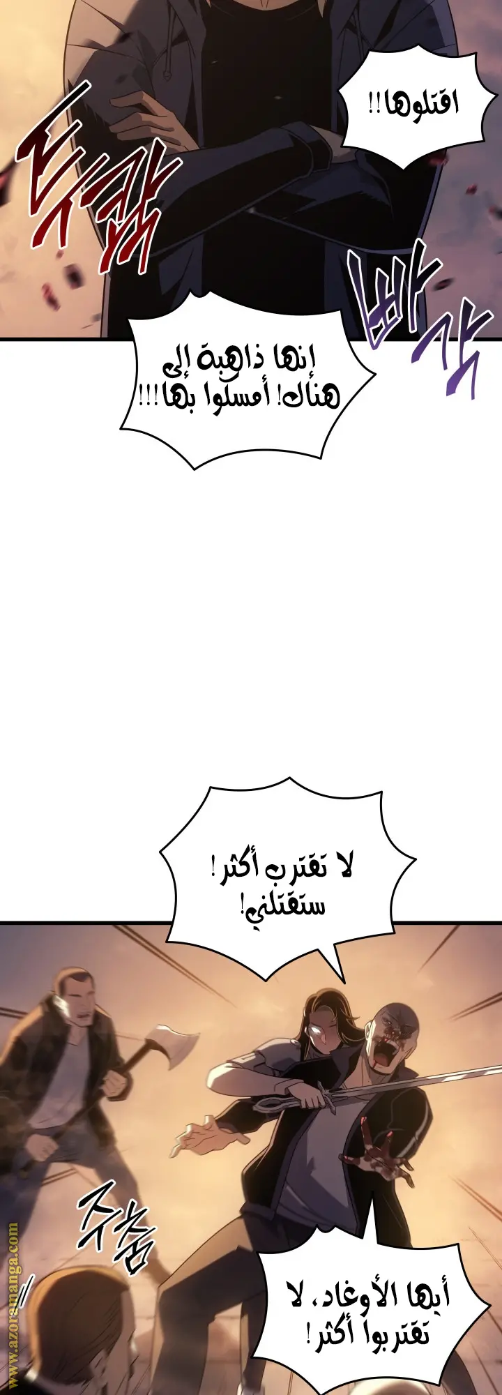 صفحة 13