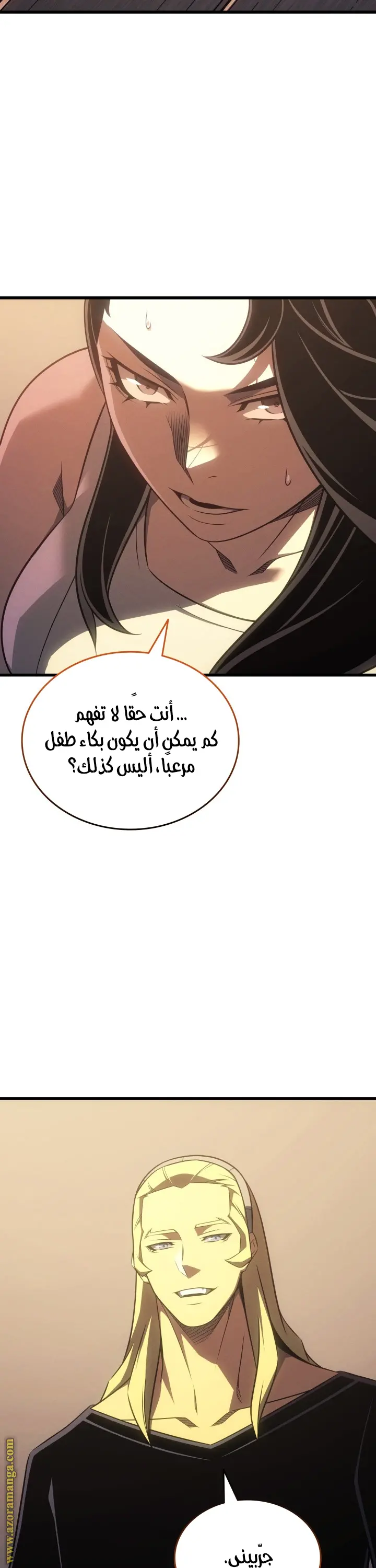 صفحة 13
