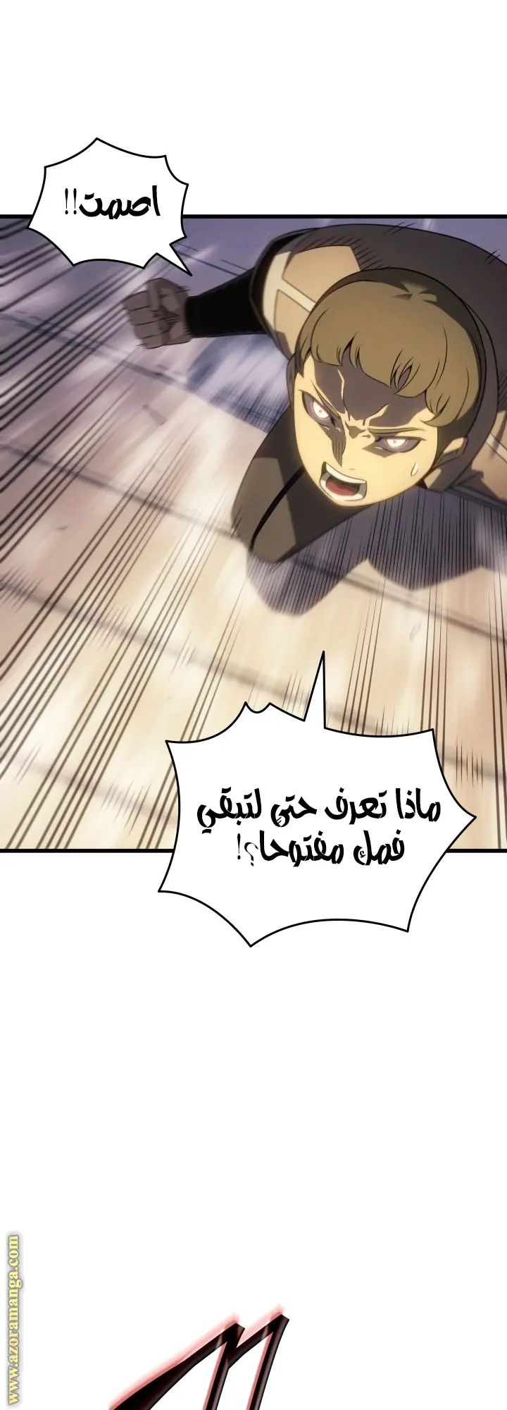 صفحة 13