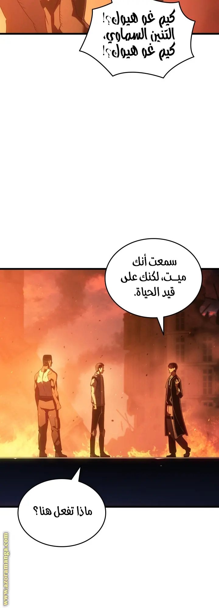 صفحة 17