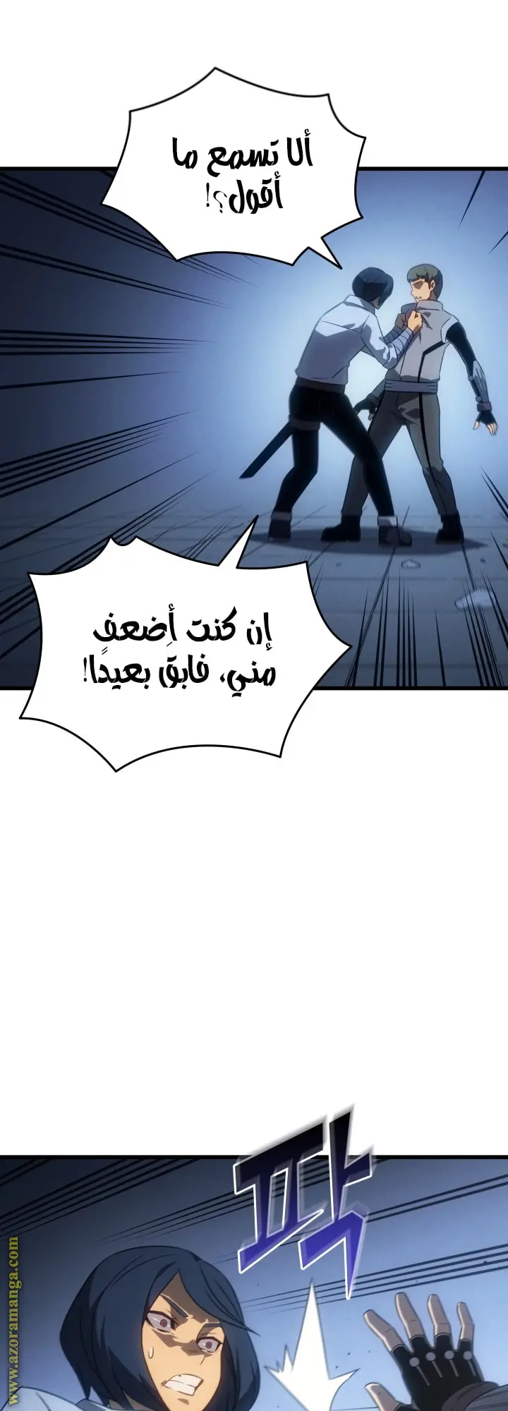 صفحة 13