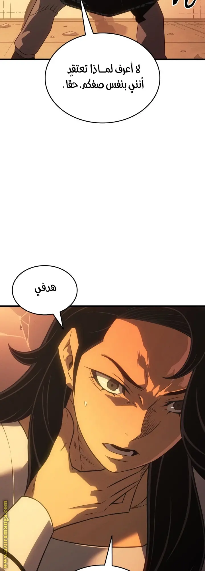 صفحة 17