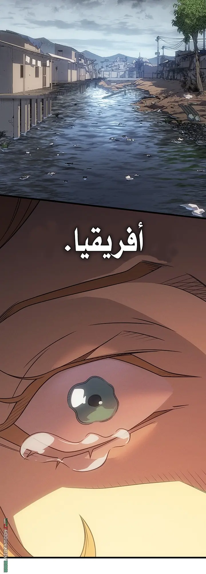 صفحة 5