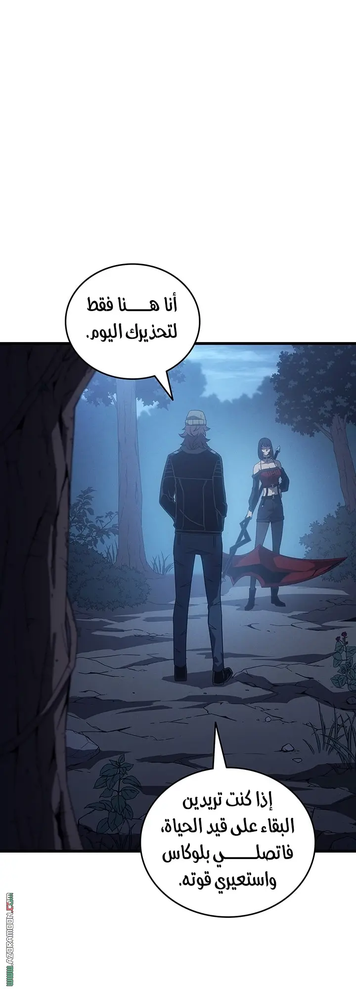 صفحة 13