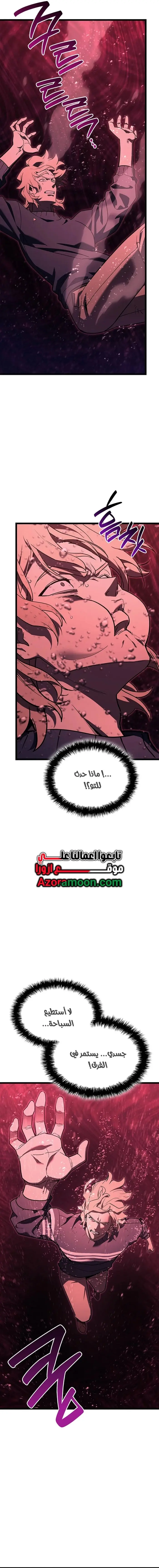 صفحة 13