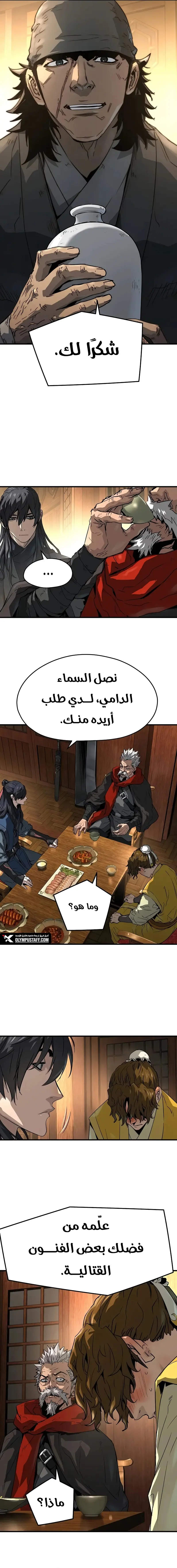 صفحة 17