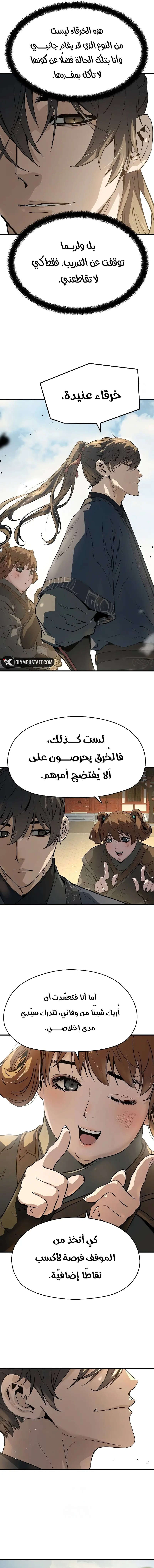 صفحة 17