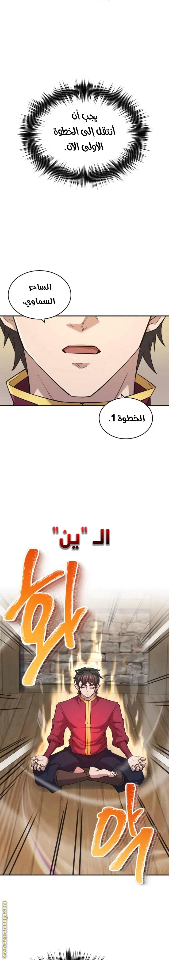 صفحة 17