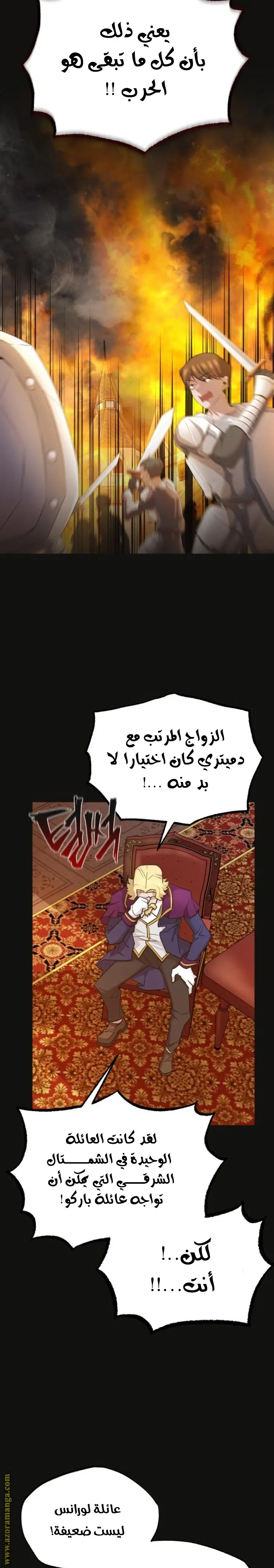 صفحة 26