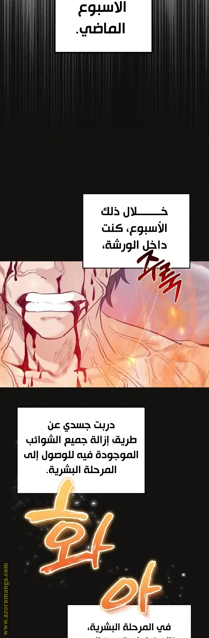 صفحة 19
